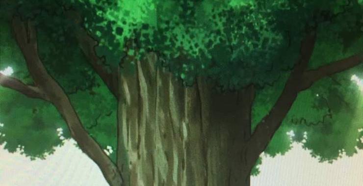 Dragon Ball 15 Things You Didn’t Know About The Kais Dragon Ball 15 Things You Didn’t Know About The Kais